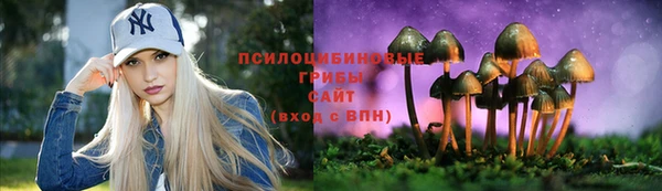 гашик Балахна