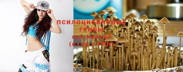 прущая мука Армянск
